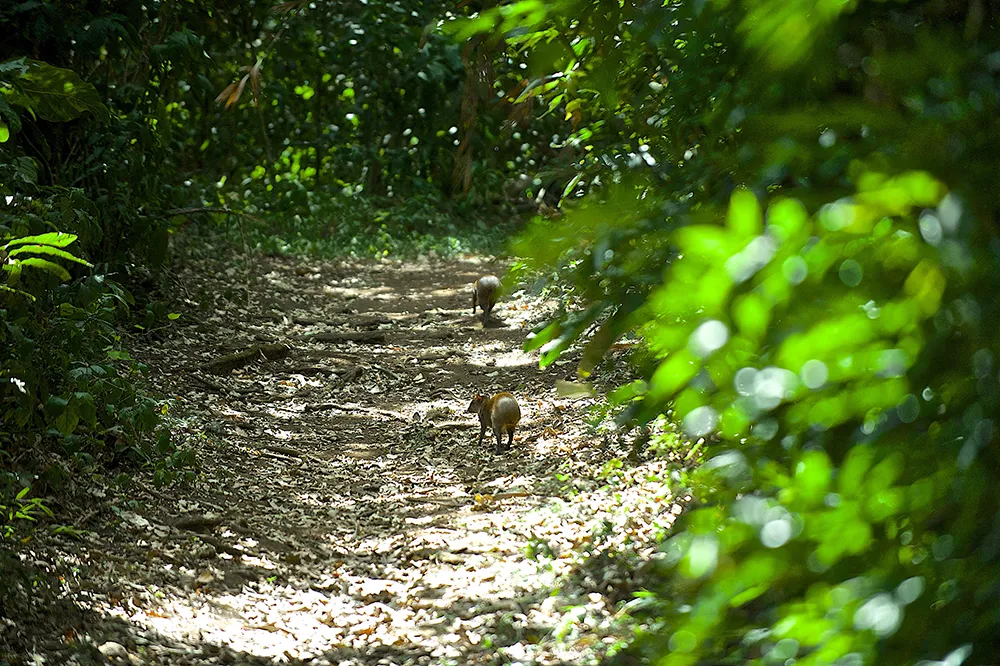 Curi Cancha  day hike 3