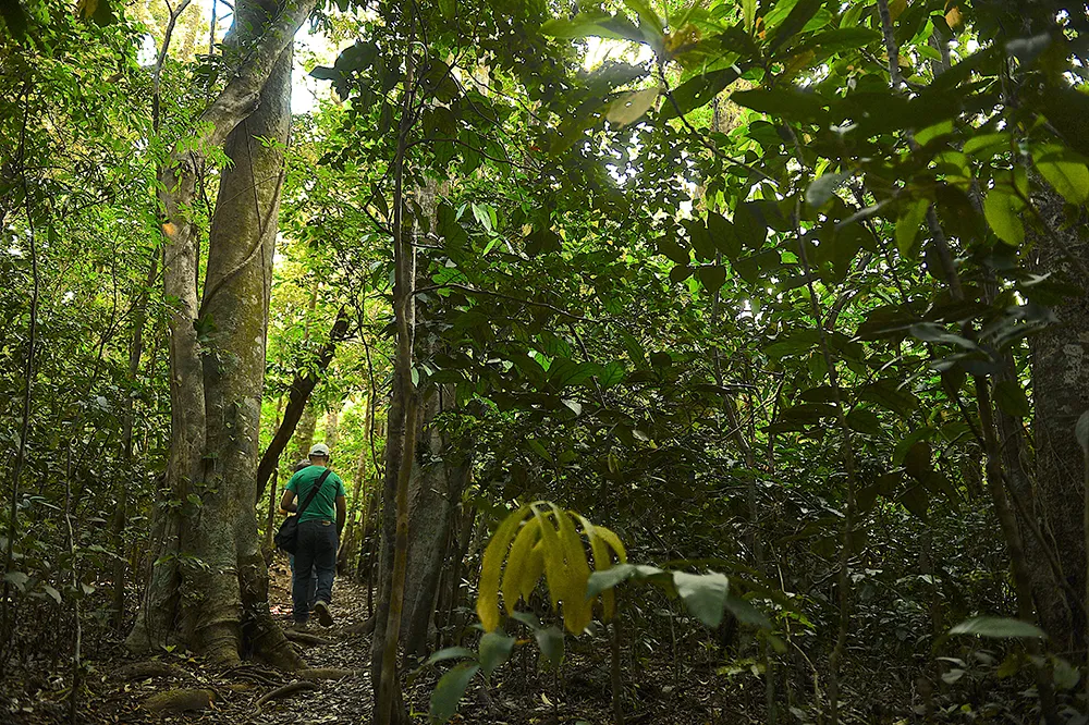 Ecological Sanctuary