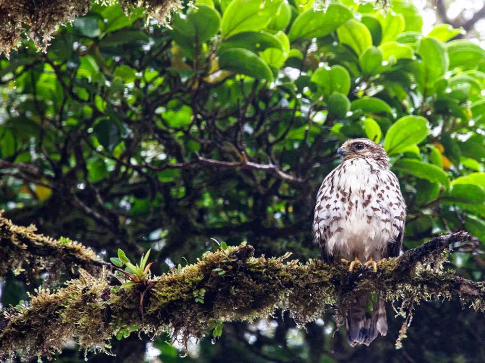 Santa Elena day hike 3